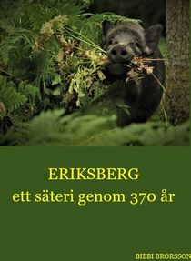 Eriksberg ett säteri genom 370 år