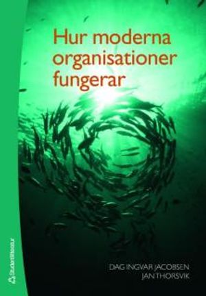 Hur moderna organisationer fungerar | 3:e upplagan