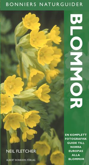 Blommor