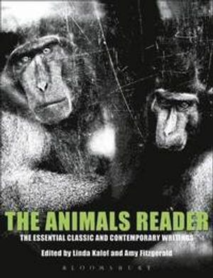 The Animals Reader