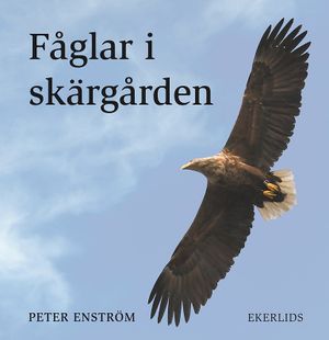 Fåglar i skärgården | 1:a upplagan