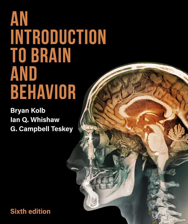 An Introduction to Brain and Behavior | 6:e upplagan