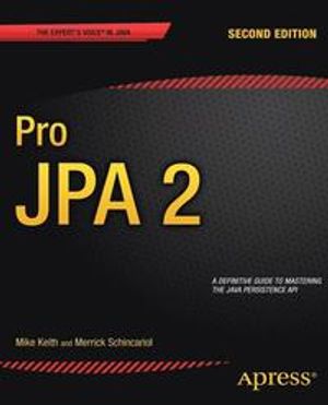 Pro JPA 2