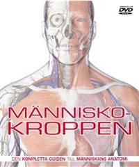 Människokroppen | 1:a upplagan