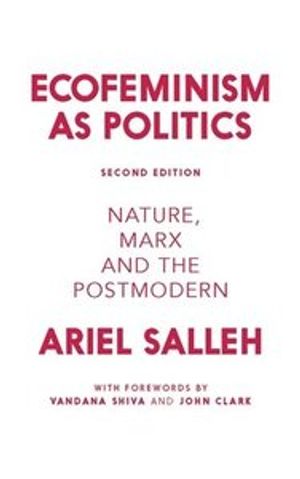 Ecofeminism as Politics: Nature, Marx, and the Postmodern