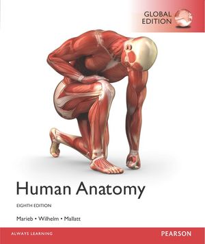 Human Anatomy plus MasteringA&P with Pearson eText, Global Edition | 8:e upplagan