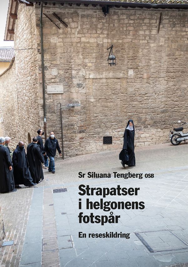 Strapatser i helgonens fotspår : en reseskildring | 1:a upplagan