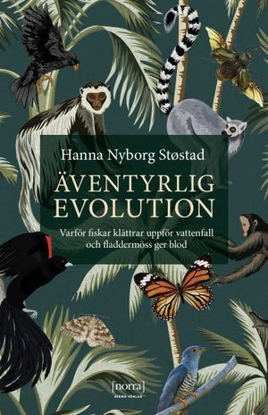 Äventyrlig evolution | 1:a upplagan