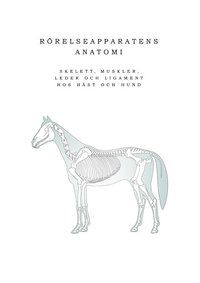 Rörelseapparatens anatomi hos häst och hund