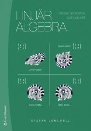 Linjär algebra : från en geometrisk utgångspunkt | 1:a upplagan