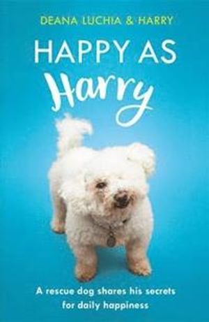 Happy as harry - a rescue dog shares his secrets for daily happiness