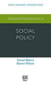 Advanced Introduction to Social Policy