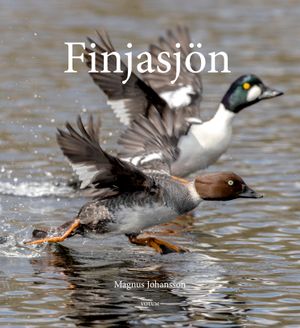 Finjasjön | 1:a upplagan