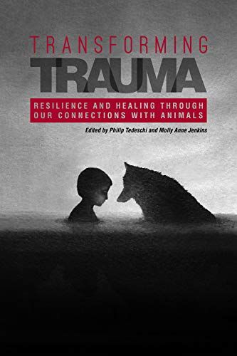 Transforming Trauma | 0:e upplagan