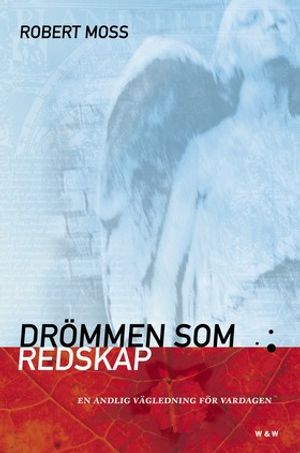 Drömmen som redskap