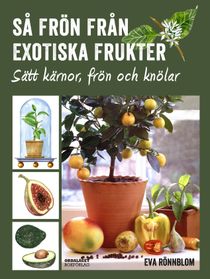 Så frön från exotiska frukter - sätt kärnor, frön och knölar