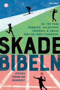 Skadebibeln