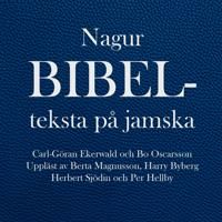 Nagur bibelteksta på jamska | 1:a upplagan