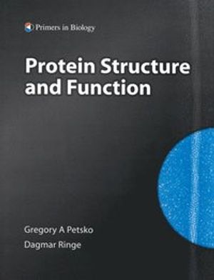 Protein Structure and Function