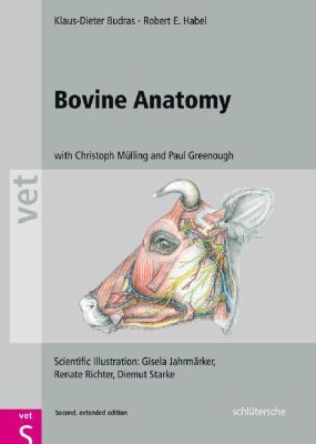 Bovine Anatomy | 2:a upplagan