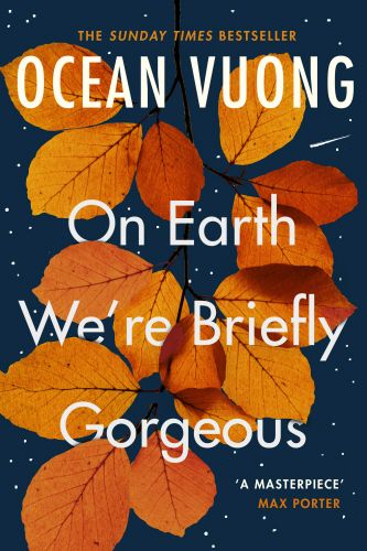 On Earth We're Briefly Gorgeous | 1:a upplagan