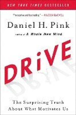 Drive: The Surprising Truth about What Motivates Us