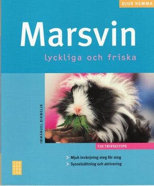 Marsvin | 1:a upplagan