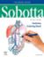 Sobotta Anatomy Coloring Book ENGLISCH/LATEIN