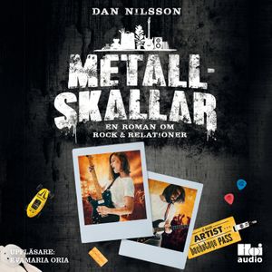 Metallskallar : en roman om rock & relationer