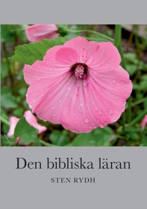 Den bibliska läran : En sammanfattning av den evangelisk-lutherska kyrkans | 1:a upplagan