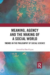 Meaning, Agency and the Making of a Social World