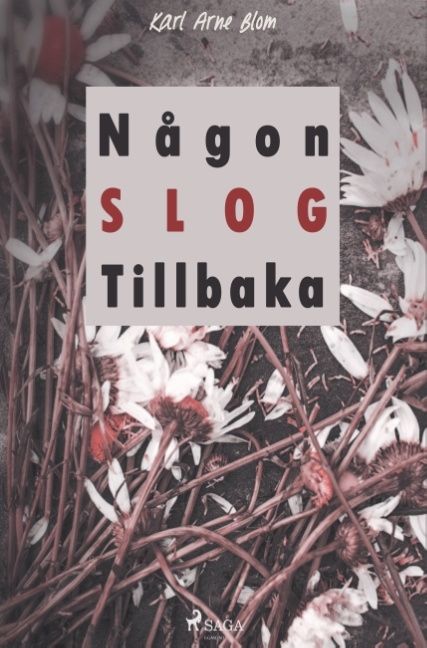 Någon slog tillbaka | 0:e upplagan