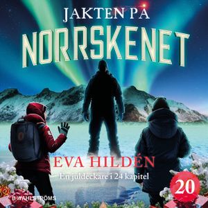 Jakten på norrskenet : En juldeckare i 24 kapitel | 23:e upplagan