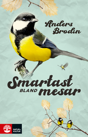 Smartast bland mesar | 1:a upplagan