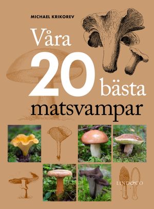 Våra 20 bästa matsvampar | 1:a upplagan