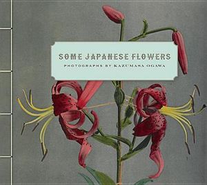 Some Japanese Flowers – Photographs by Kazumasa Ogawa