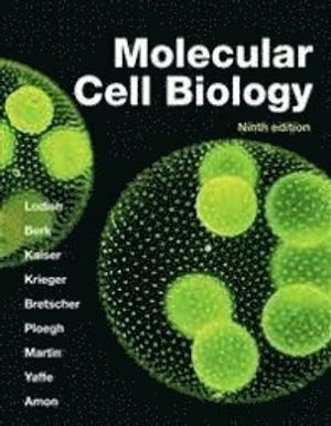 Molecular Cell Biology | 9:e upplagan