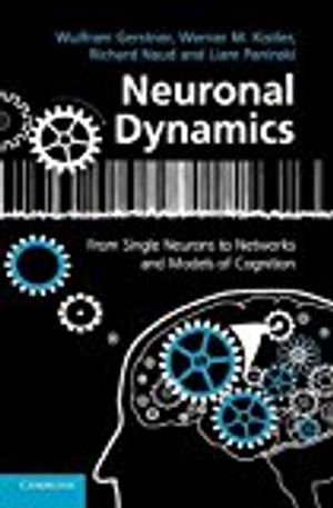 Neuronal Dynamics