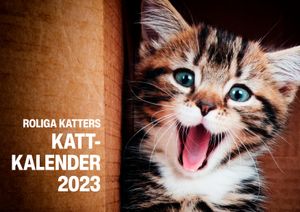 Roliga katters kattkalender 2023