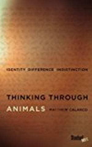 Thinking Through Animals