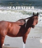 True story of sea feather