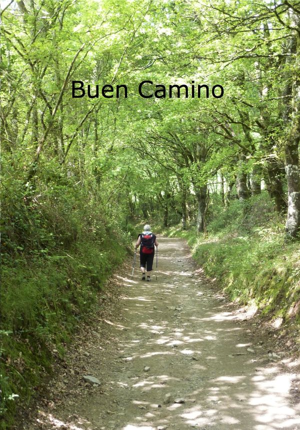 Buen Camino | 1:a upplagan