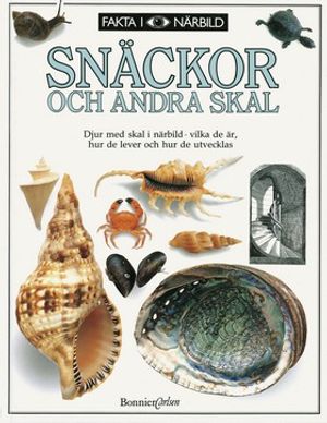 Fakta i närbild: Snäckor och andra skal