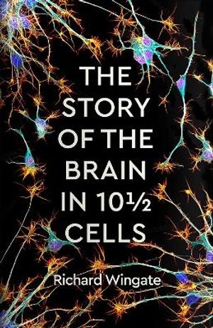 The Story of the Brain in 101/2 Cells