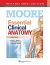 Essential Clinical Anatomy