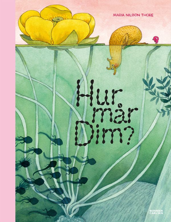 Hur mår Dim? | 0:e upplagan