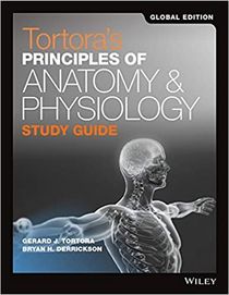 Tortoras Principles Of Anatomy And Physiology Study Guide