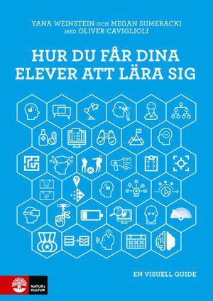 Hur du får dina elever att lära sig | 1:a upplagan