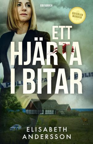 Ett hjärta i bitar