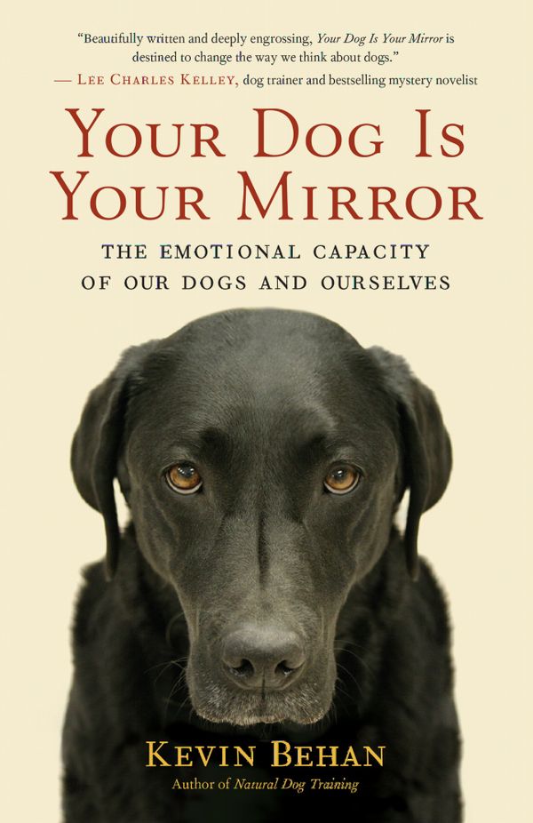 Your Dog Is Your Mirror | 0:e upplagan